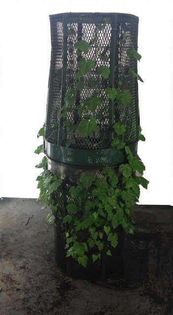 untitled-martin-roth