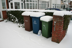 Garden waste collection in winter