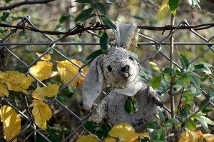 old stuffed animal