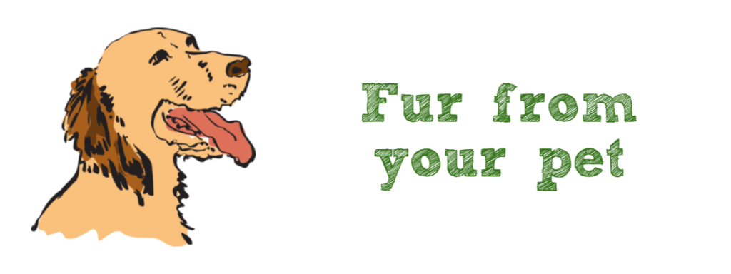 Materials That Can Be Recycled Pet Fur