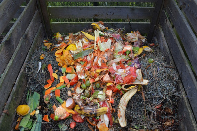 organic waste